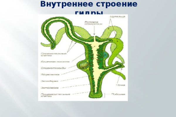 Кракен последние ссылки