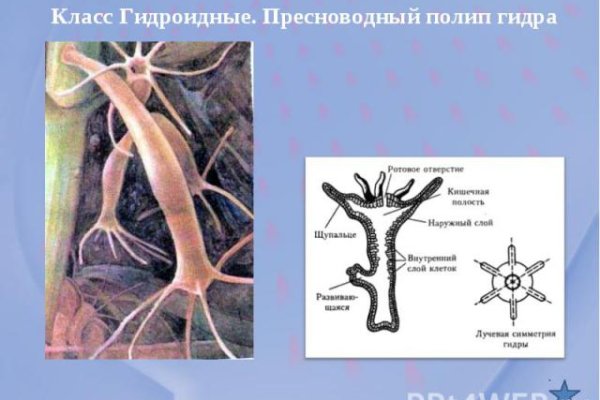 Где купить наркоты