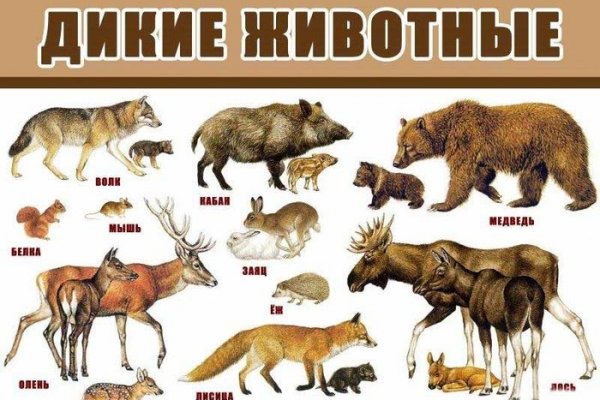 Кракен купить порошок