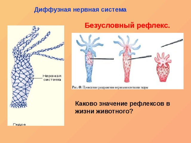 Кракен дарк сайт