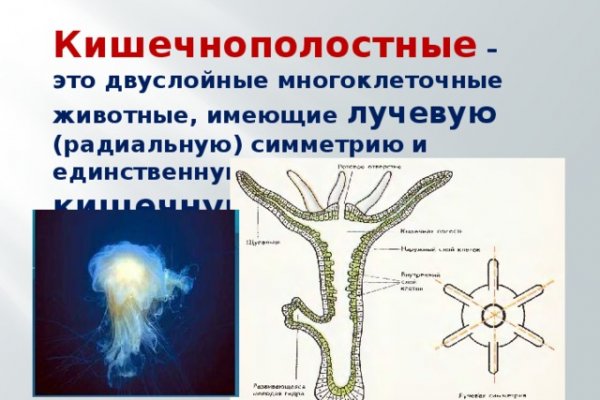 Спрут мега кракен