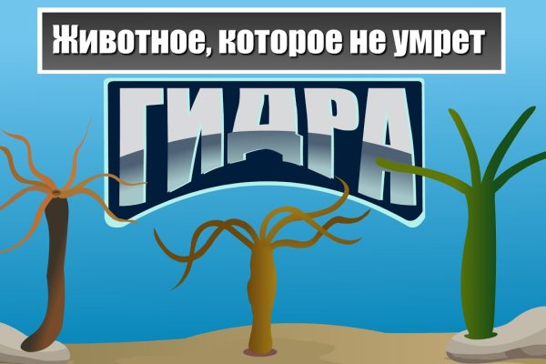 Рабочая ссылка кракен маркетплейс